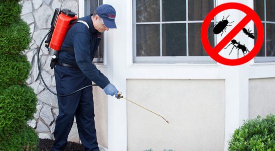 Mut Fare İlaçlama böcek ilaçlama ve haşere kontrolü — ilaclama-tr.com